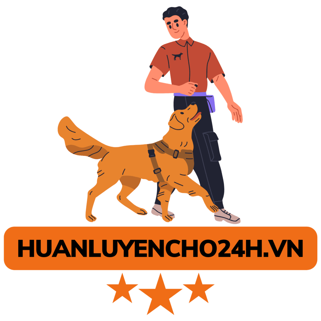 Huấn Luyện Chó 24H