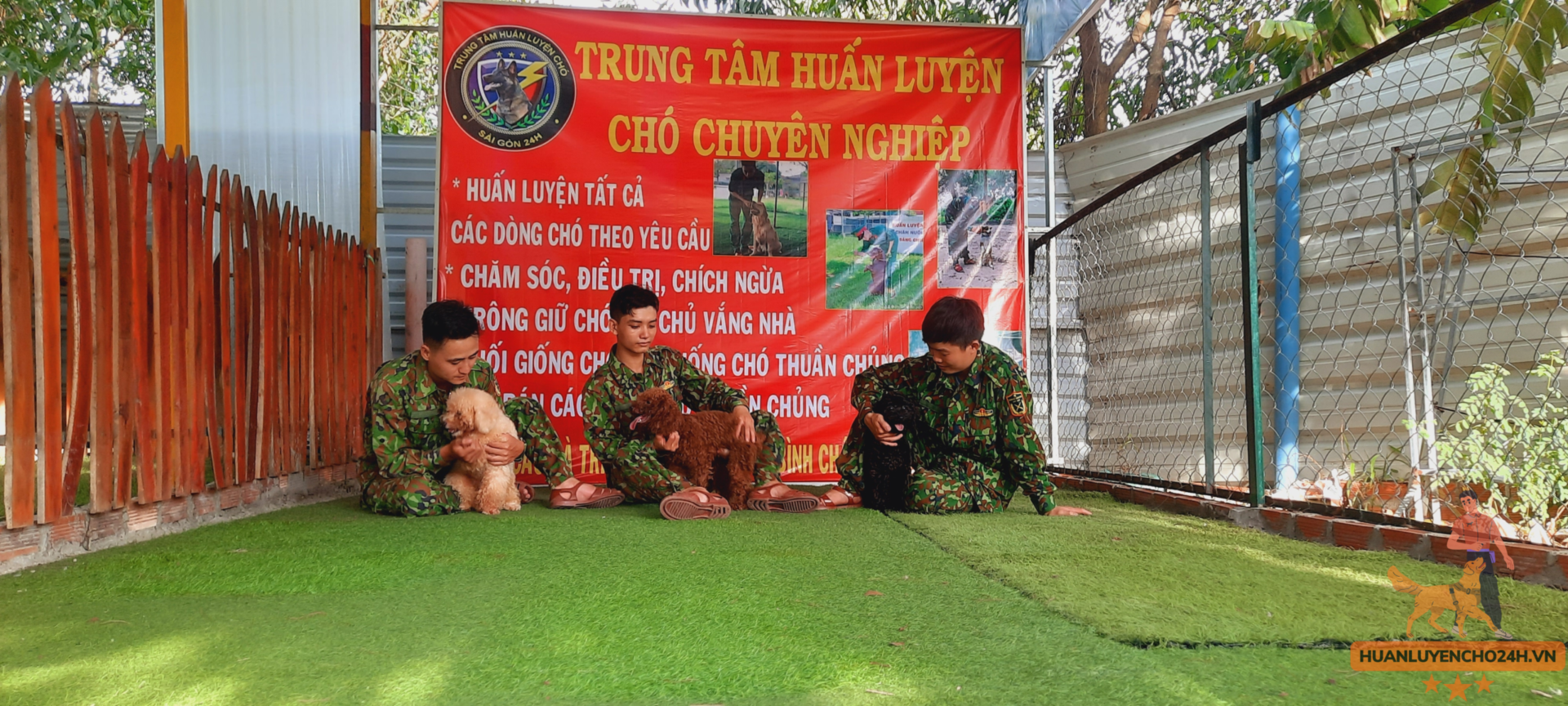 Huấn luyện chó 24h