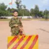 Giá Chó Cỏ Thuần Chủng
