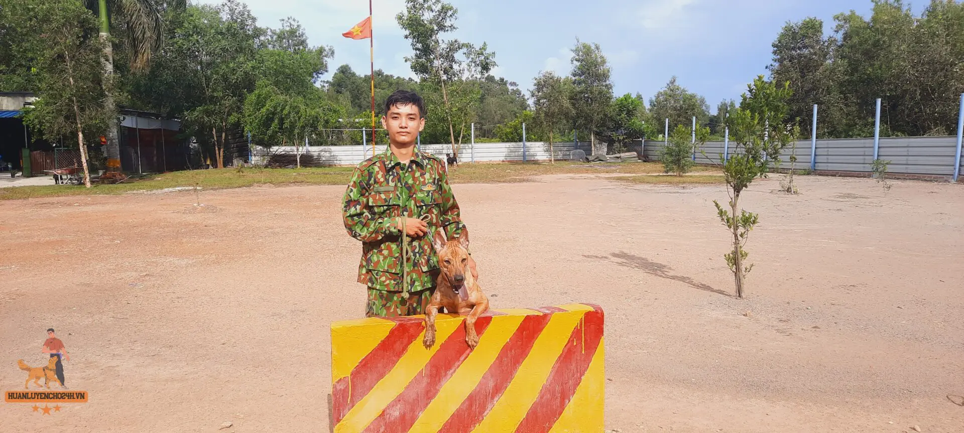 Giá Chó Cỏ Thuần Chủng