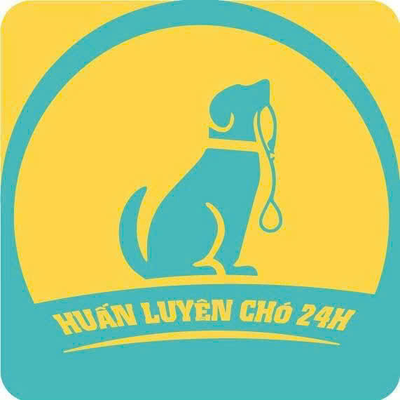 Huấn Luyện Chó 24H